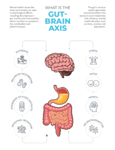 Gut Brain Axis